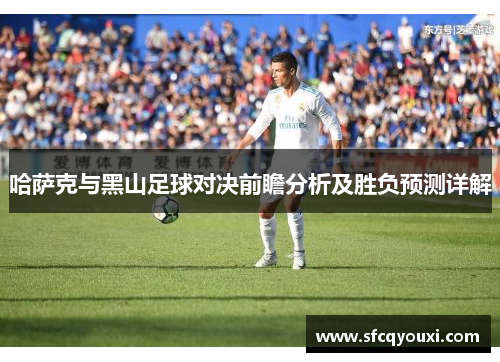 哈萨克与黑山足球对决前瞻分析及胜负预测详解