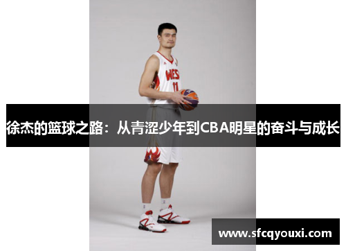 徐杰的篮球之路：从青涩少年到CBA明星的奋斗与成长